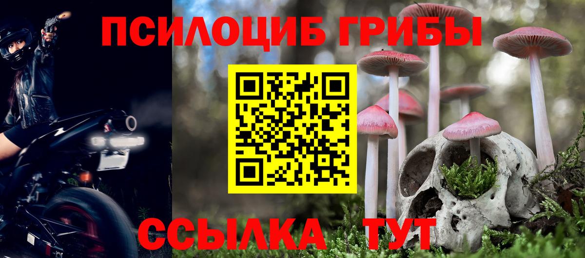 Псилоцибиновые грибы Psilocybine cubensis  Вход с VPN  Псилоцибиновые грибы Magic Shrooms  Гуково 